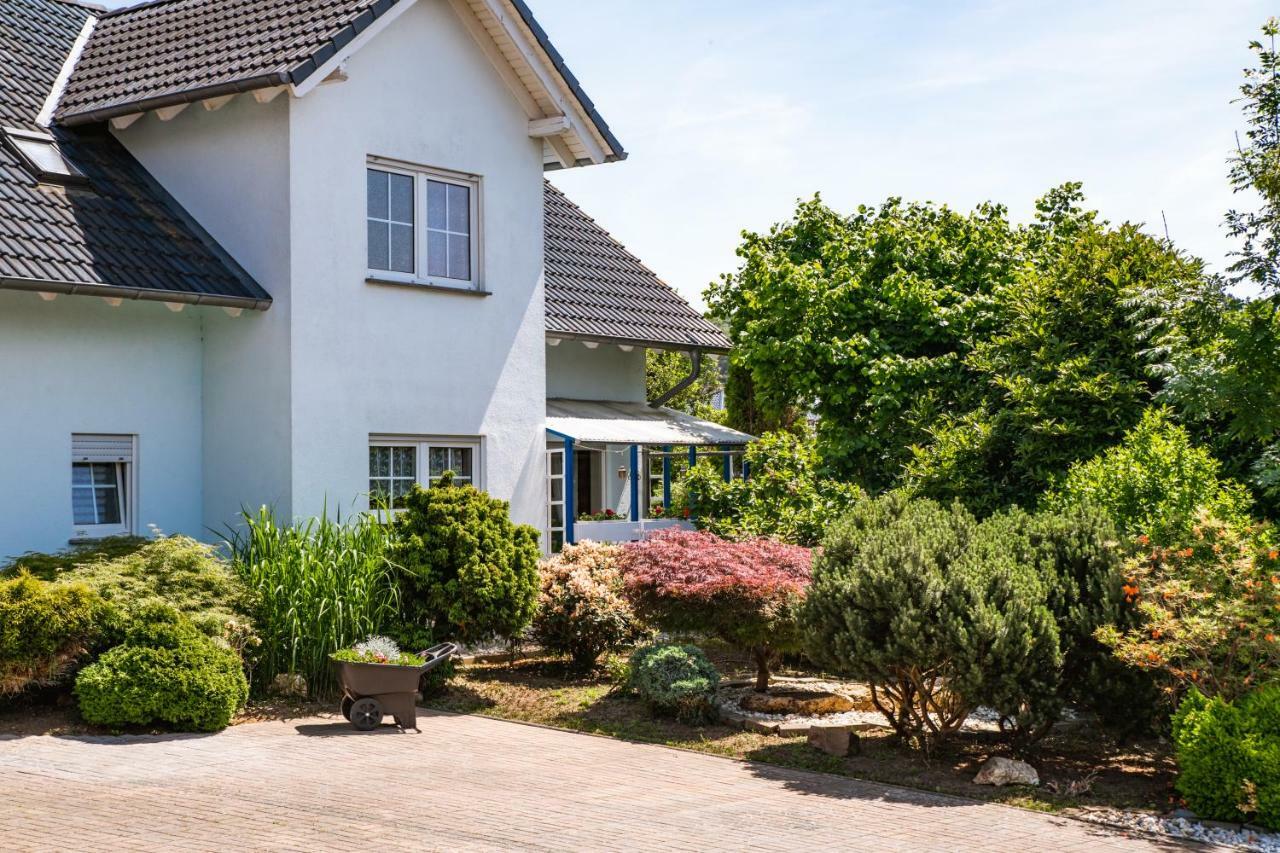 Das blaue Haus Daufenbach Extérieur photo
